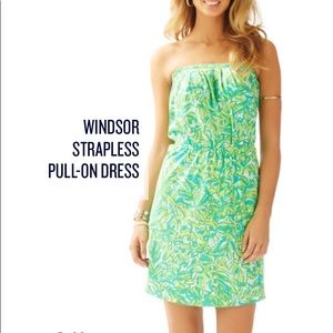 🦜 NWT Lilly Pulitzer Windsor Dress Green Parrot